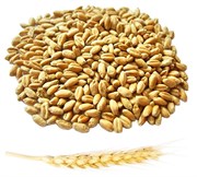 Пшеница, 1 кг (30кг/м)