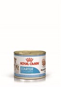 Royal Canin Консервы для щенков и кормящих сук starter mousse