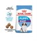 Роял Канин Giant Pappy сух.д/щенков гигантских пород 3,5 кг(М+) 00-0000607344