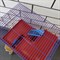 Клетка для грызунов 3-этажа, полки, лесенки, 36*24*38 см 00-00005443